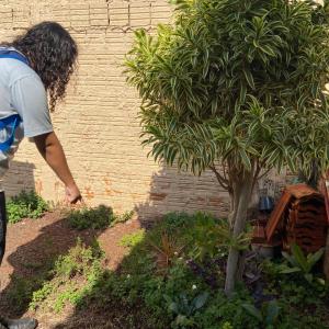 Imagem da notícia COMBATE À DENGUE - AÇÕES EM PONTOS ESTRATÉGICOS