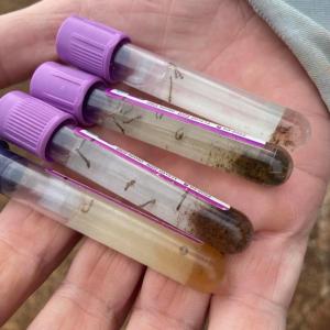 Imagem da notícia COMBATE À DENGUE - AÇÕES EM PONTOS ESTRATÉGICOS
