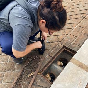 Imagem da notícia COMBATE À DENGUE - BAIRRO SANTO ANTONIO