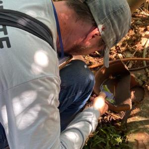 Imagem da notícia COMBATE À DENGUE - BAIRRO SÃO BENEDITO