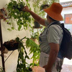 Imagem da notícia COMBATE À DENGUE - JARDIM PEDRO OMETTO