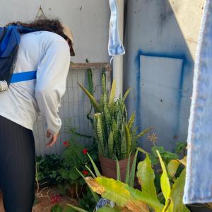 Imagem da notícia COMBATE À DENGUE - JARDIM PEDRO OMETTO