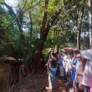 Imagem da notícia ESTUDANTES DA ESCOLA DR. DOMINGOS DE MAGALHÃES APRENDEM NO HORTO