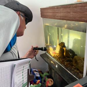 Imagem da notícia COMBATE À DENGUE NO BAIRRO COMERCIÁRIOS