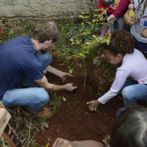 Imagem da notícia Dia da árvore é comemorado com palestras e atividades - FOTOS