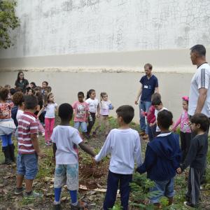 Imagem da notícia Dia da árvore é comemorado com palestras e atividades - FOTOS