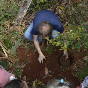 Imagem da notícia Dia da árvore é comemorado com palestras e atividades - FOTOS