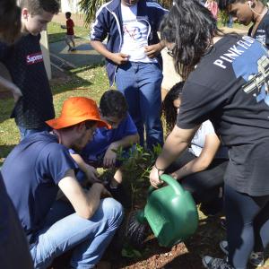 Imagem da notícia Dia da árvore é comemorado com palestras e atividades - FOTOS
