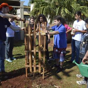 Imagem da notícia Dia da árvore é comemorado com palestras e atividades - FOTOS