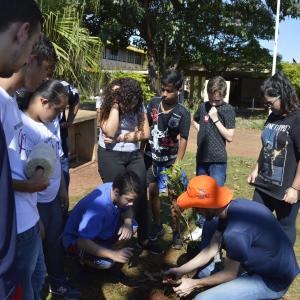 Imagem da notícia Dia da árvore é comemorado com palestras e atividades - FOTOS