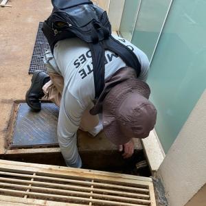 Imagem da notícia COMBATE À DENGUE - CONTROLE DE CRIADOUROS NO JARDIM MARIA LUIZA II