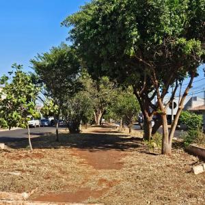 Imagem da notícia MEIO AMBIENTE - PODA DE LEVANTAMENTO E LIMPEZA PROMOVE SEGURANÇA