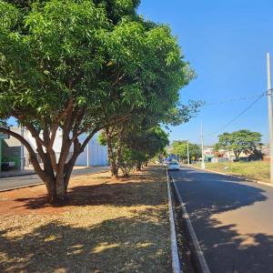 Imagem da notícia MEIO AMBIENTE - PODA DE LEVANTAMENTO E LIMPEZA PROMOVE SEGURANÇA