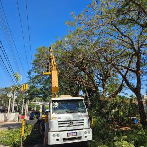 Imagem da notícia MEIO AMBIENTE - PODA DE LEVANTAMENTO E LIMPEZA PROMOVE SEGURANÇA