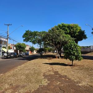 Imagem da notícia MEIO AMBIENTE - PODA DE LEVANTAMENTO E LIMPEZA PROMOVE SEGURANÇA