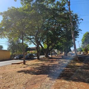 Imagem da notícia MEIO AMBIENTE - PODA DE LEVANTAMENTO E LIMPEZA PROMOVE SEGURANÇA