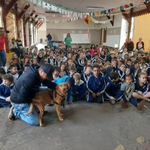 Imagem da notícia MAUS-TRATOS A ANIMAIS ENTRA EM PAUTA NA EMEF DR. PÁDUA SALLES