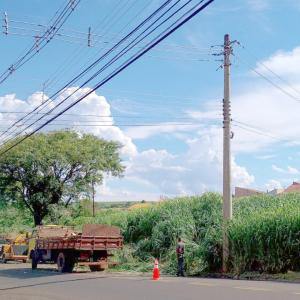 Imagem da notícia ADEQUANDO ARBORIZAÇÃO URBANA: ÁRVORES COM RISCO À FIAÇÃO ELÉTRICA SÃO CORTADAS