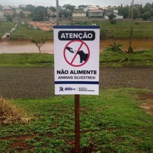 Imagem da notícia ATENÇÃO: NÃO ALIMENTE AS CAPIVARAS!