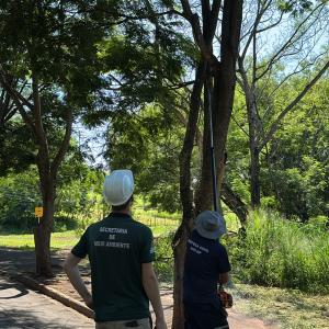Imagem da notícia TÁ ROLANDO NO JARDIM SÃO JOSÉ O 1º MUTIRÃO 