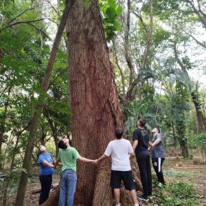 Imagem da notícia DIA DO MEIO AMBIENTE: ATIVIDADES NO HORTO E LIMPEZA NA MARGEM DO RIO JAÚ