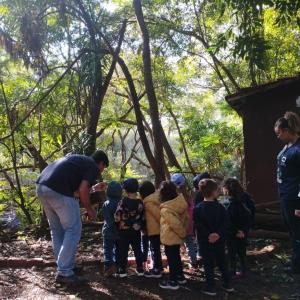 Imagem da notícia A NATUREZA COMO SALA DE AULA: MATERNAL II DO PORTO ALVORADA NO HORTO MUNICIPAL