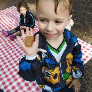 Imagem da notícia A NATUREZA COMO SALA DE AULA: MATERNAL II DO PORTO ALVORADA NO HORTO MUNICIPAL