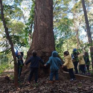 Imagem da notícia A NATUREZA COMO SALA DE AULA: MATERNAL II DO PORTO ALVORADA NO HORTO MUNICIPAL
