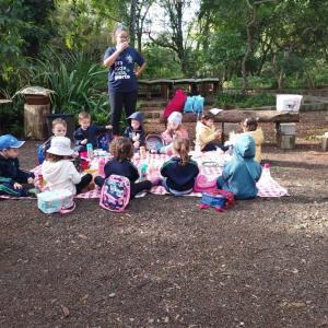 Imagem da notícia A NATUREZA COMO SALA DE AULA: MATERNAL II DO PORTO ALVORADA NO HORTO MUNICIPAL