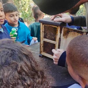 Imagem da notícia CASA DA CRIANÇA VISITA O HORTO MUNICIPAL