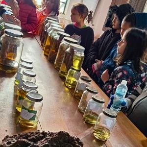 Imagem da notícia CASA DA CRIANÇA VISITA O HORTO MUNICIPAL