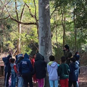 Imagem da notícia CASA DA CRIANÇA VISITA O HORTO MUNICIPAL