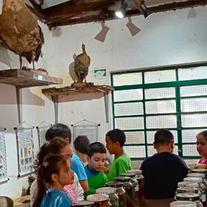 Imagem da notícia CASA DA CRIANÇA VISITA O HORTO MUNICIPAL