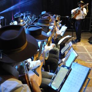 Imagem da notícia Show: Orquestra Paulistana de Viola Caipira no Parque Rio Jahu - FOTOS
