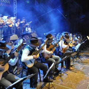 Imagem da notícia Show: Orquestra Paulistana de Viola Caipira no Parque Rio Jahu - FOTOS