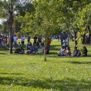Imagem da notícia 16 dias de ativismo pelo fim da violência contra as mulheres: 