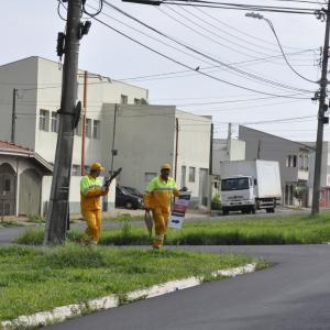 Imagem da notícia Operação Limpeza começa nesta terça-feira - FOTOS