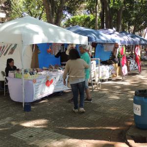 Imagem da notícia Natal 2018: Feira Regional de Artesanato e Apresentação do Projeto Guri - FOTOS