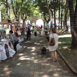 Imagem da notícia Natal 2018: Feira Regional de Artesanato e Apresentação do Projeto Guri - FOTOS