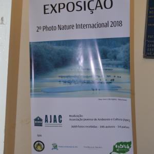 Imagem da notícia Natal 2018 - Abertura da Exposição Foto Nature - FOTOS
