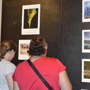 Imagem da notícia Natal 2018 - Abertura da Exposição Foto Nature - FOTOS