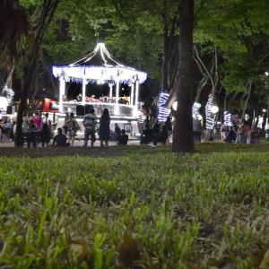 Imagem da notícia Natal 2018: Coral do Instituto Ângela Cristina