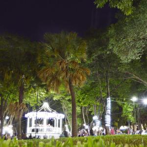 Imagem da notícia Natal 2018: Coral do Instituto Ângela Cristina