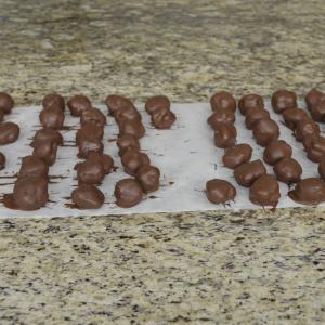 Imagem da notícia Curso de Trufas e Torta Holandesa 1ª turma - FOTOS