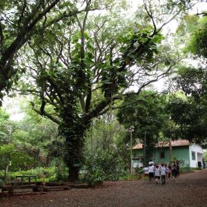 Imagem da notícia Inauguração da “Sala Verde do Horto Florestal Municipal” - FOTOS