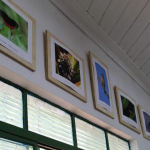 Imagem da notícia Inauguração da “Sala Verde do Horto Florestal Municipal” - FOTOS