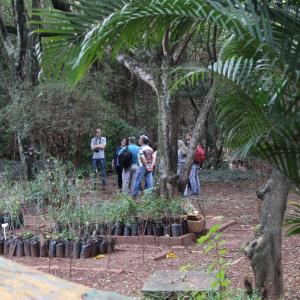Imagem da notícia Semana do Meio Ambiente 2019: 