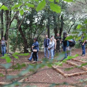 Imagem da notícia Semana do Meio Ambiente 2019: 