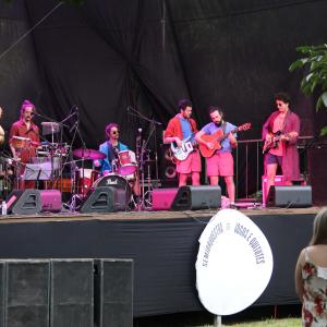 Imagem da notícia Semana de Incentivo à Cultura: Show musical com a Semiorquestra - FOTOS