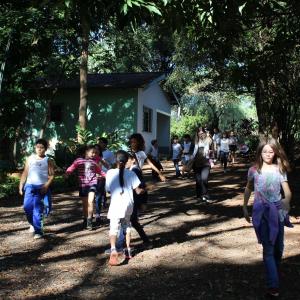 Imagem da notícia Semana do Meio Ambiente 2019: 